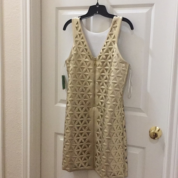 NWT Lilly Pulitzer Gold Mango Shift Dress Large - Picture 4 of 8